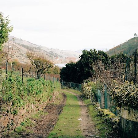 Quinta Das Casas - Douro Winery & Villas Vila Real Dış mekan fotoğraf