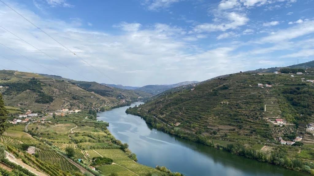 Quinta Das Casas - Douro Winery & Villas Vila Real Dış mekan fotoğraf