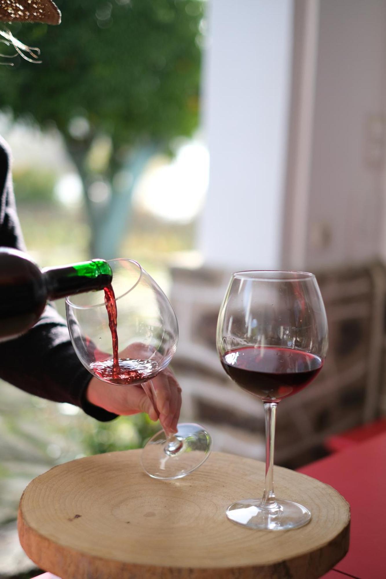 Quinta Das Casas - Douro Winery & Villas Vila Real Dış mekan fotoğraf