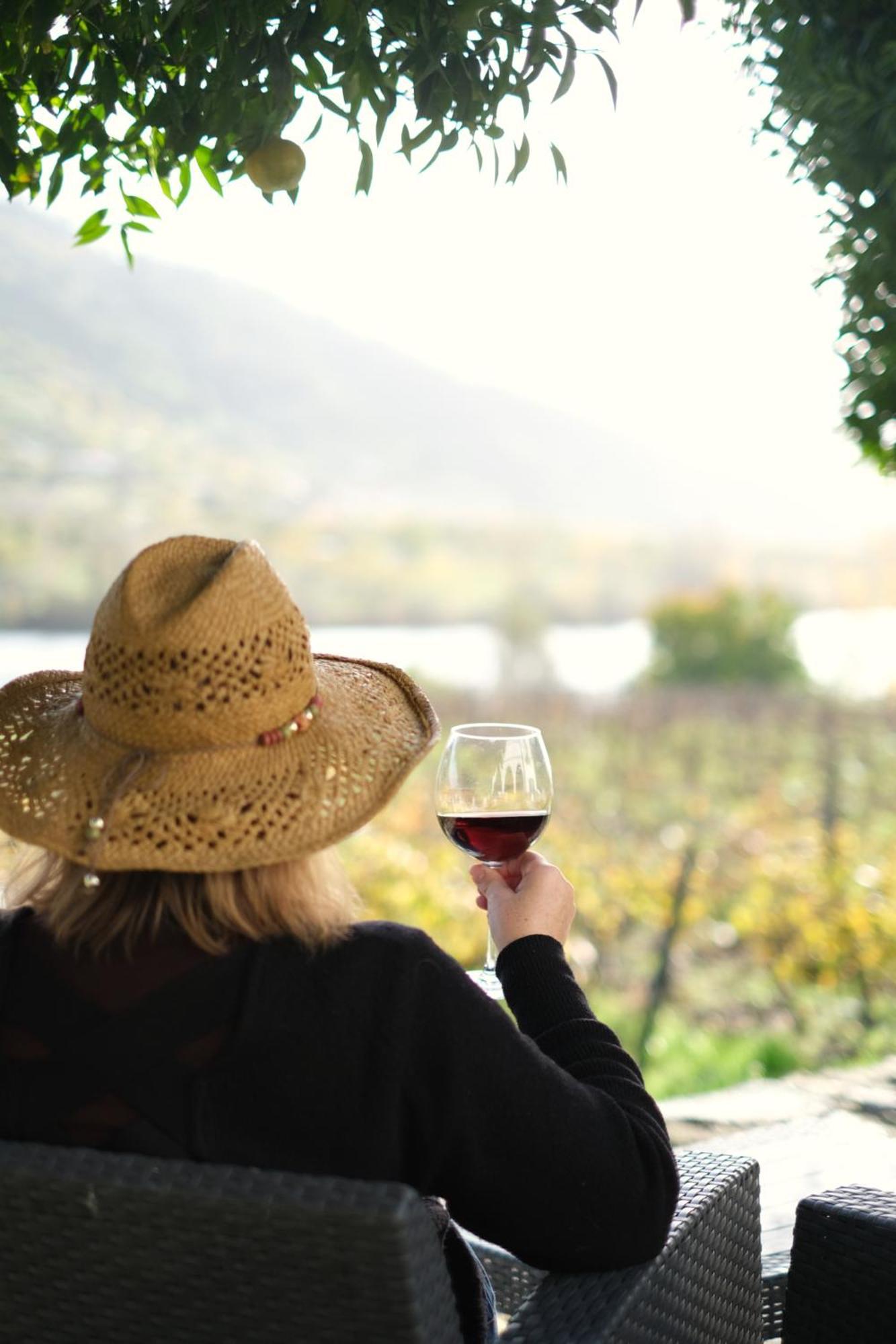 Quinta Das Casas - Douro Winery & Villas Vila Real Dış mekan fotoğraf