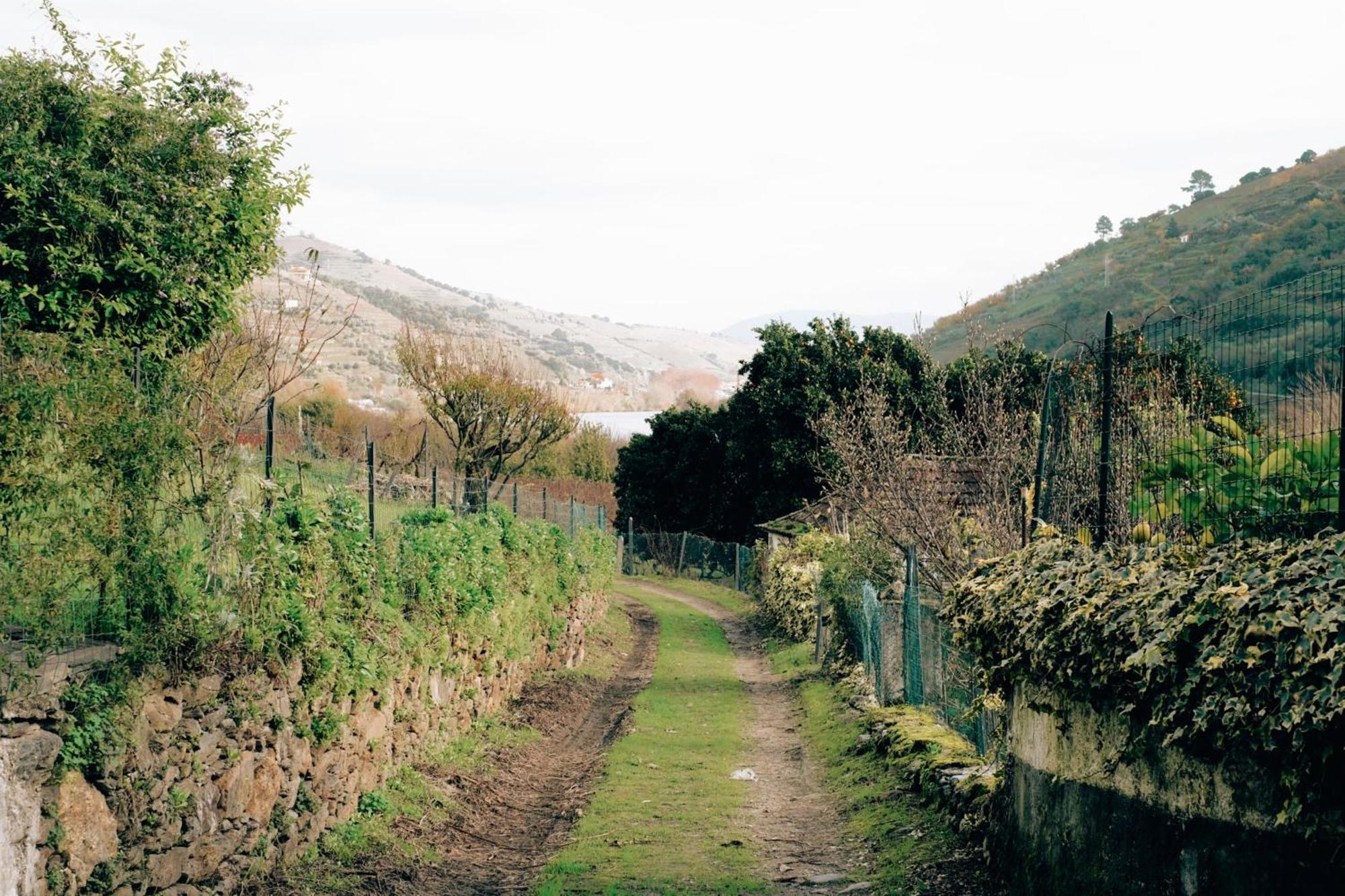 Quinta Das Casas - Douro Winery & Villas Vila Real Dış mekan fotoğraf